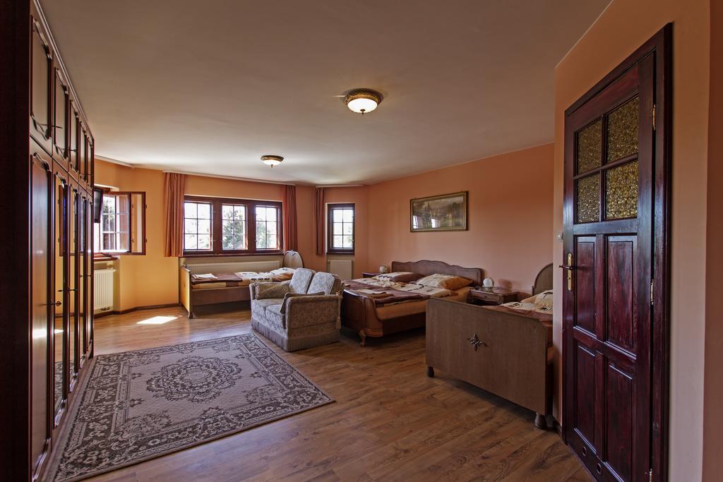 Villa Bergera Дзержонюв Номер фото