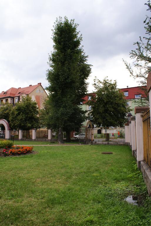Villa Bergera Дзержонюв Экстерьер фото
